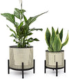 Mid Century Planter with Gold Plant Stand-DECORIZE